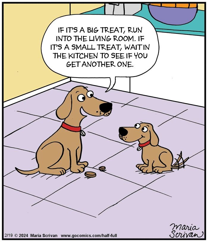The 65 Best Comics That Prove Absurd Humor Is The Best Kind Of Humor By Maria Scrivan