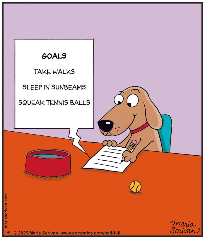 The 65 Best Comics That Prove Absurd Humor Is The Best Kind Of Humor By Maria Scrivan