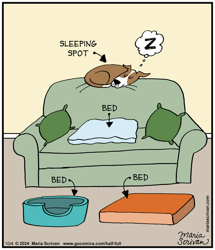 The 65 Best Comics That Prove Absurd Humor Is The Best Kind Of Humor By Maria Scrivan