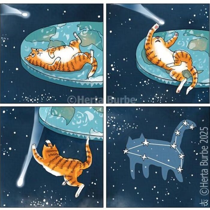 50 Heartwarming Cat Comics By This Lithuanian Artist That Beautifully Capture Human Emotions