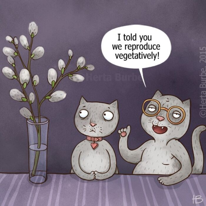 50 Heartwarming Cat Comics By This Lithuanian Artist That Beautifully Capture Human Emotions
