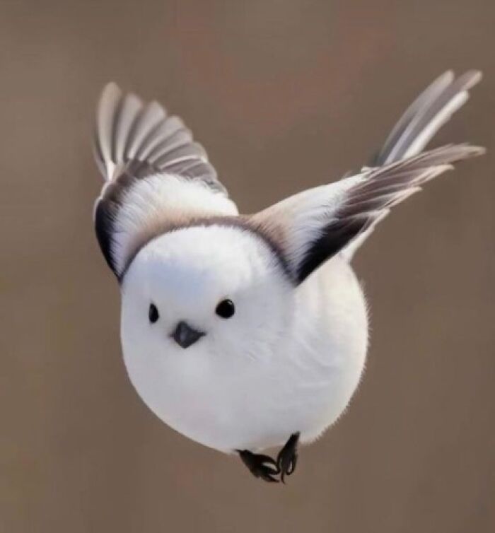 “What Animal Instantly Wins The ‘Looks Fake But Is Real’ Competition?” (35 Responses) “What Animal Instantly Wins The ‘Looks Fake But Is Real’ Competition?” (35 Responses)