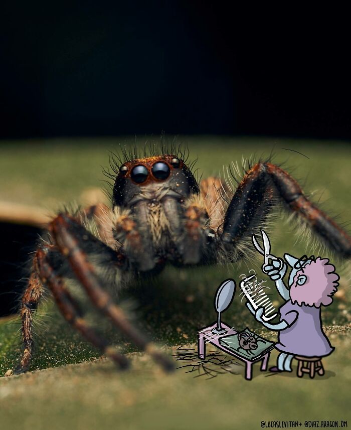 Illustrator Continues To ‘Invade’ Strangers’ Instagram Photos With Funny Cartoons (27 New Pics) Illustrator Continues To ‘Invade’ Strangers’ Instagram Photos With Funny Cartoons (27 New Pics)