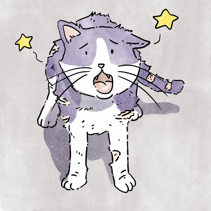7 New Emotional “Sam & Oscar” Stories About The Love And Fear That Come With Having Pets