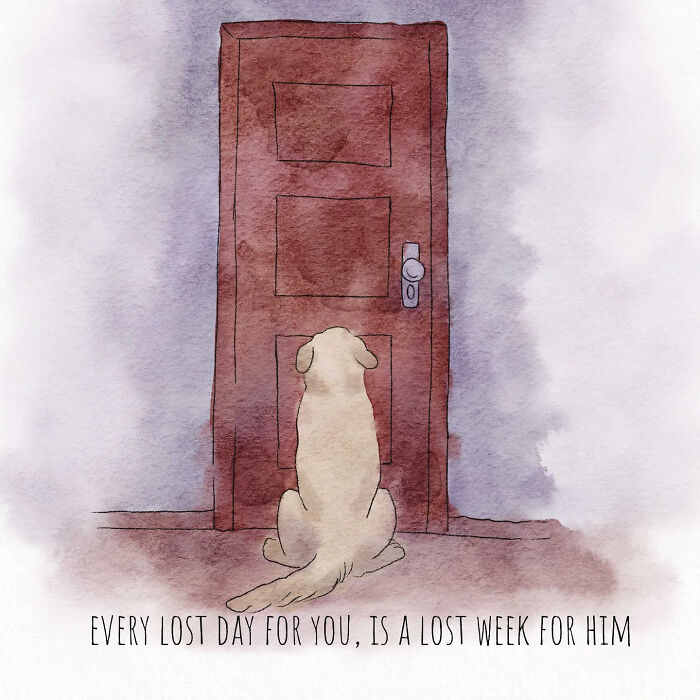 7 New Emotional “Sam & Oscar” Stories About The Love And Fear That Come With Having Pets