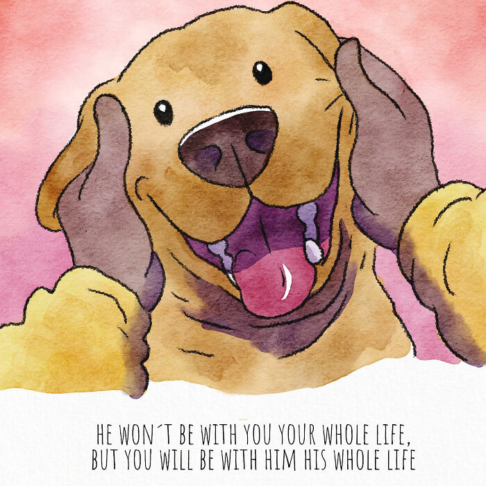 7 New Emotional “Sam & Oscar” Stories About The Love And Fear That Come With Having Pets