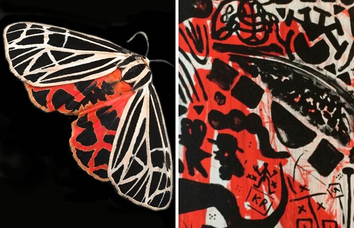 Artist Creates 75 Fascinating Collages Revealing Nature’s Overlooked Repeating Patterns