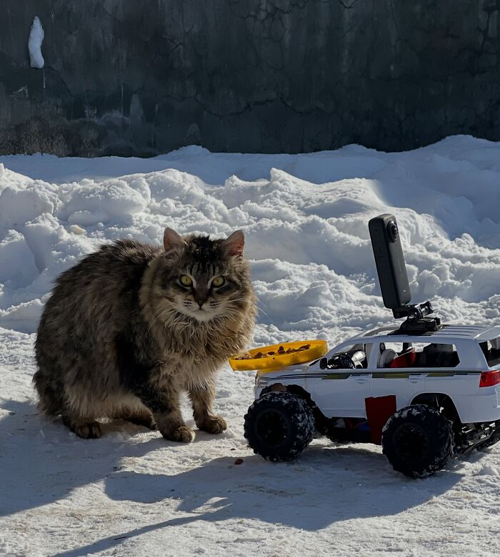 This Account Shares Stray Animals Getting Their Meals Delivered By Remote Control Car And Drone (40 New Pics) This Account Shares Stray Animals Getting Their Meals Delivered By Remote Control Car And Drone (40 New Pics)