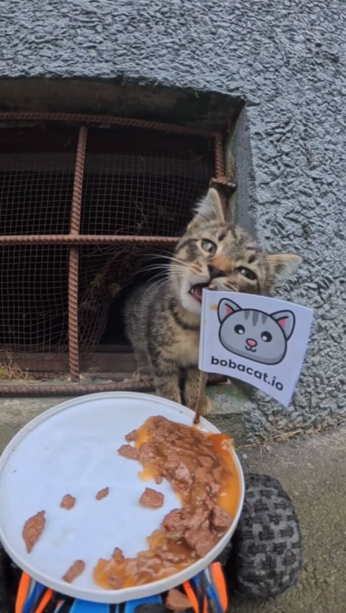 This Account Shares Stray Animals Getting Their Meals Delivered By Remote Control Car And Drone (40 New Pics) This Account Shares Stray Animals Getting Their Meals Delivered By Remote Control Car And Drone (40 New Pics)