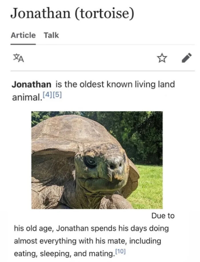67 People Who Improved The World Just By Doing Their Own Weird And Wholesome Little Thing 67 People Who Improved The World Just By Doing Their Own Weird And Wholesome Little Thing