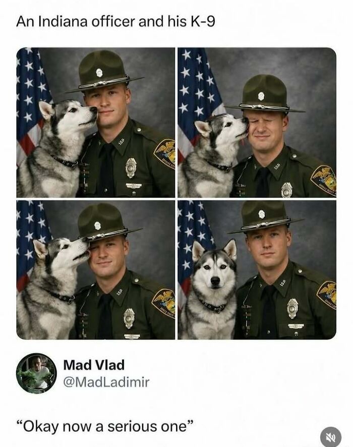 36 Delightfully Weird And Hilarious Memes To Give Your Brain A Quick Break From Reality