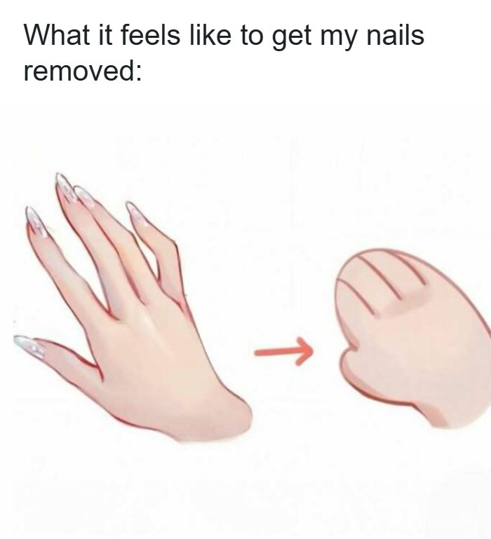 36 Delightfully Weird And Hilarious Memes To Give Your Brain A Quick Break From Reality