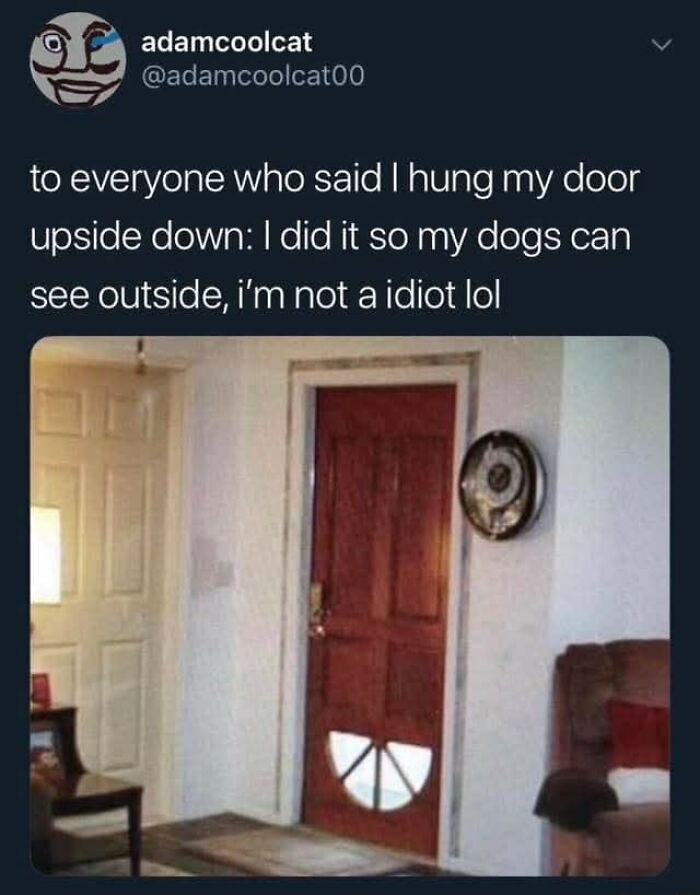 36 Delightfully Weird And Hilarious Memes To Give Your Brain A Quick Break From Reality