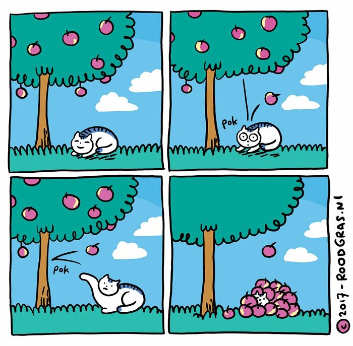 “I Think Everyone Loves Cats”: 26 Adorable Comics By Rob Van Barneveld (New Pics) “I Think Everyone Loves Cats”: 26 Adorable Comics By Rob Van Barneveld (New Pics)