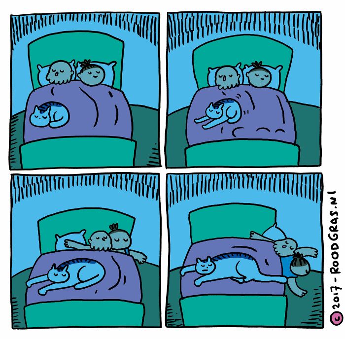 “I Think Everyone Loves Cats”: 26 Adorable Comics By Rob Van Barneveld (New Pics) “I Think Everyone Loves Cats”: 26 Adorable Comics By Rob Van Barneveld (New Pics)