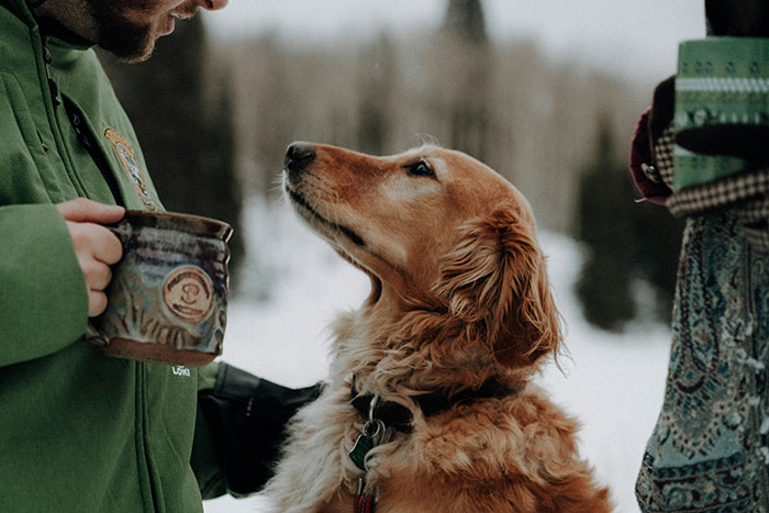 Guy Keeps Ex’s Old Dog With Him Out Of Spite, Hands Him Over To Friend After It Becomes Too Much