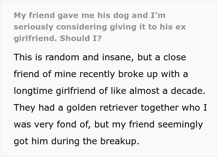 Guy Keeps Ex’s Old Dog With Him Out Of Spite, Hands Him Over To Friend After It Becomes Too Much