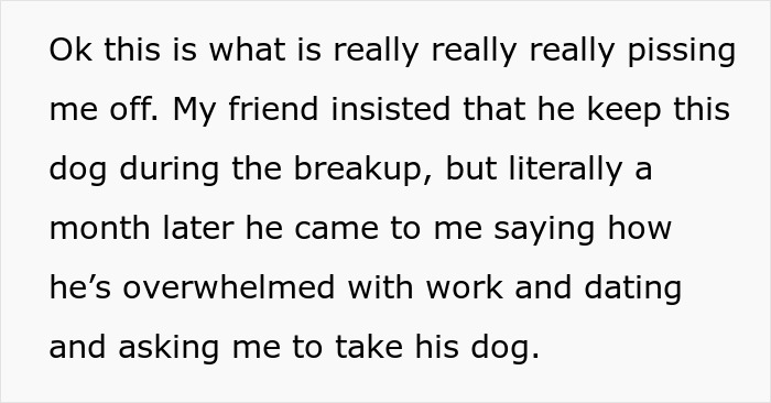 Guy Keeps Ex’s Old Dog With Him Out Of Spite, Hands Him Over To Friend After It Becomes Too Much