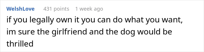 Guy Keeps Ex’s Old Dog With Him Out Of Spite, Hands Him Over To Friend After It Becomes Too Much