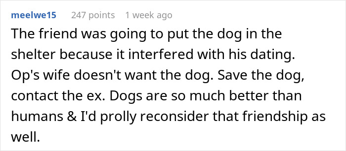 Guy Keeps Ex’s Old Dog With Him Out Of Spite, Hands Him Over To Friend After It Becomes Too Much
