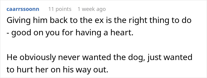 Guy Keeps Ex’s Old Dog With Him Out Of Spite, Hands Him Over To Friend After It Becomes Too Much