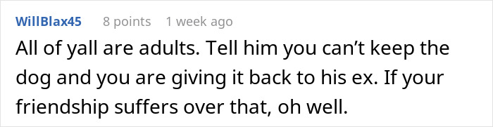 Guy Keeps Ex’s Old Dog With Him Out Of Spite, Hands Him Over To Friend After It Becomes Too Much