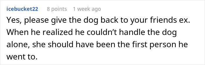 Guy Keeps Ex’s Old Dog With Him Out Of Spite, Hands Him Over To Friend After It Becomes Too Much