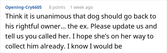 Guy Keeps Ex’s Old Dog With Him Out Of Spite, Hands Him Over To Friend After It Becomes Too Much