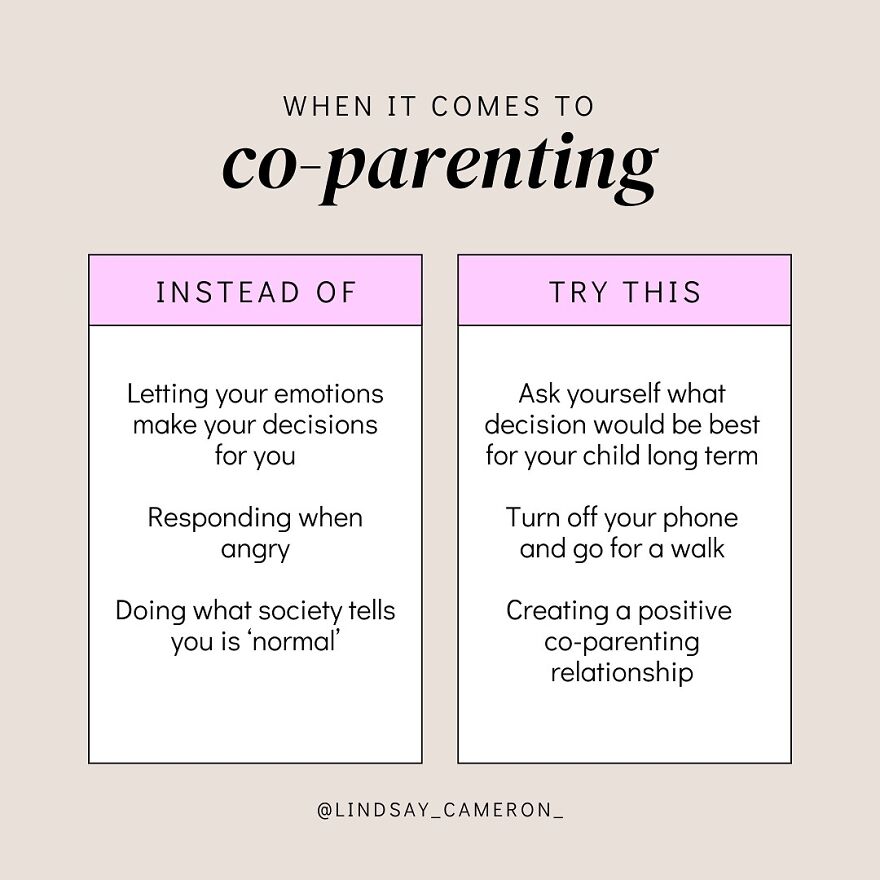 Co-Parenting With A Toxic Ex: A Survival Guide For Your Kids And Your Sanity