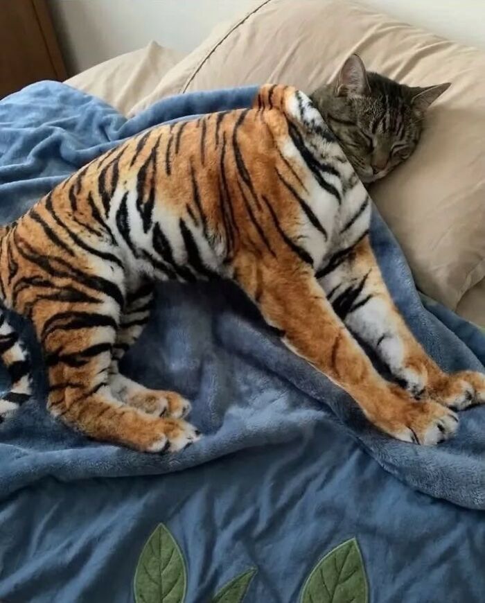 38 Of The Most Hilarious And Cute &lsquo;Important Animal Images&rsquo; To Brighten Your Day (New Pics)