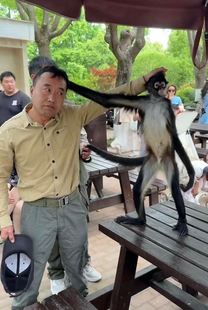 38 Of The Most Hilarious And Cute &lsquo;Important Animal Images&rsquo; To Brighten Your Day (New Pics)