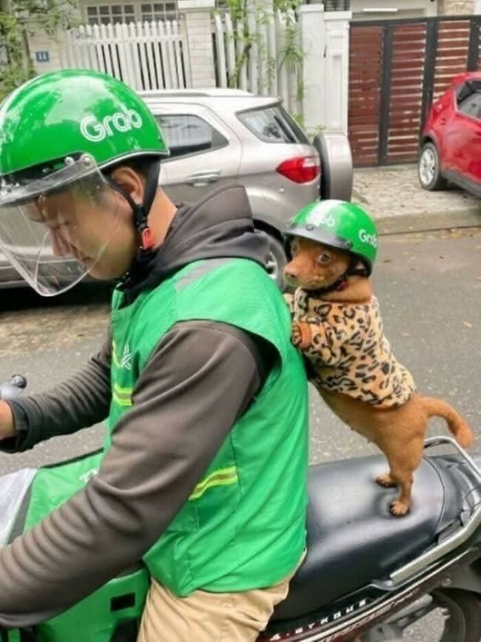 38 Of The Most Hilarious And Cute &lsquo;Important Animal Images&rsquo; To Brighten Your Day (New Pics)