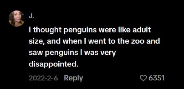 77 Hilariously Late Realizations That Should Have Been Obvious But Somehow Weren’t 77 Hilariously Late Realizations That Should Have Been Obvious But Somehow Weren’t