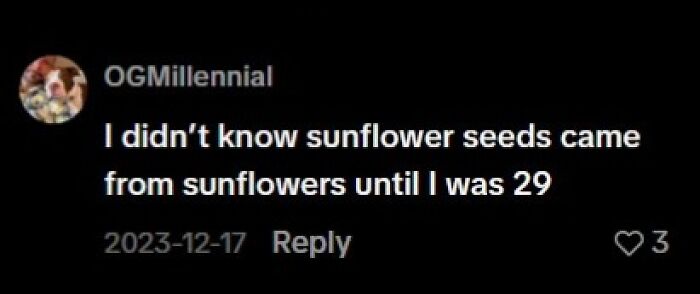 77 Hilariously Late Realizations That Should Have Been Obvious But Somehow Weren’t 77 Hilariously Late Realizations That Should Have Been Obvious But Somehow Weren’t