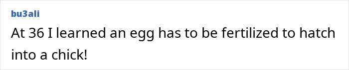 77 Hilariously Late Realizations That Should Have Been Obvious But Somehow Weren’t 77 Hilariously Late Realizations That Should Have Been Obvious But Somehow Weren’t