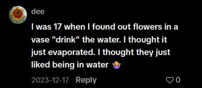 77 Hilariously Late Realizations That Should Have Been Obvious But Somehow Weren’t 77 Hilariously Late Realizations That Should Have Been Obvious But Somehow Weren’t