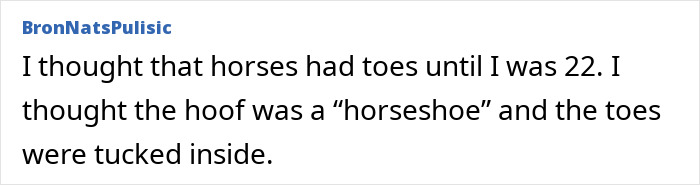 77 Hilariously Late Realizations That Should Have Been Obvious But Somehow Weren’t 77 Hilariously Late Realizations That Should Have Been Obvious But Somehow Weren’t