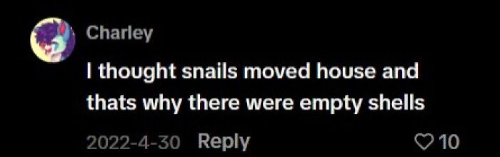 77 Hilariously Late Realizations That Should Have Been Obvious But Somehow Weren’t 77 Hilariously Late Realizations That Should Have Been Obvious But Somehow Weren’t