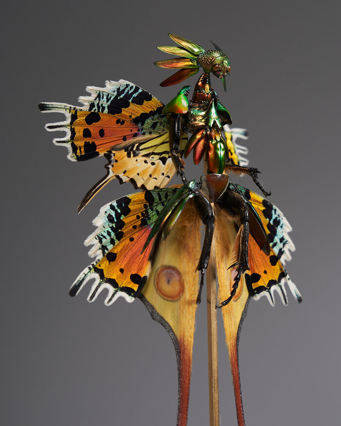 Amsterdam-Based Artist Creates Surreal Sculptures Inspired By Fairies, Flowers, Skeletons, And Insects (33 Pics) Amsterdam-Based Artist Creates Surreal Sculptures Inspired By Fairies, Flowers, Skeletons, And Insects (33 Pics)