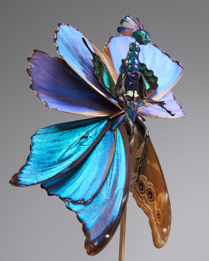 Amsterdam-Based Artist Creates Surreal Sculptures Inspired By Fairies, Flowers, Skeletons, And Insects (33 Pics) Amsterdam-Based Artist Creates Surreal Sculptures Inspired By Fairies, Flowers, Skeletons, And Insects (33 Pics)