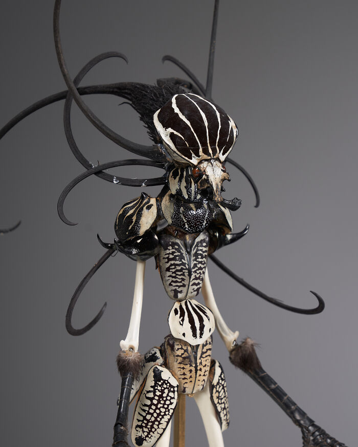 Amsterdam-Based Artist Creates Surreal Sculptures Inspired By Fairies, Flowers, Skeletons, And Insects (33 Pics) Amsterdam-Based Artist Creates Surreal Sculptures Inspired By Fairies, Flowers, Skeletons, And Insects (33 Pics)