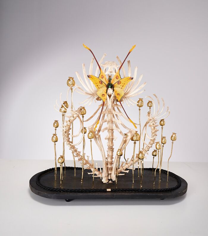 Amsterdam-Based Artist Creates Surreal Sculptures Inspired By Fairies, Flowers, Skeletons, And Insects (33 Pics) Amsterdam-Based Artist Creates Surreal Sculptures Inspired By Fairies, Flowers, Skeletons, And Insects (33 Pics)