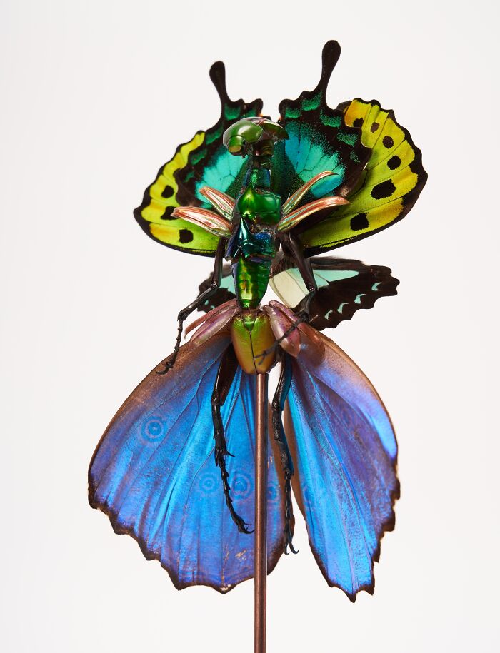 Amsterdam-Based Artist Creates Surreal Sculptures Inspired By Fairies, Flowers, Skeletons, And Insects (33 Pics) Amsterdam-Based Artist Creates Surreal Sculptures Inspired By Fairies, Flowers, Skeletons, And Insects (33 Pics)
