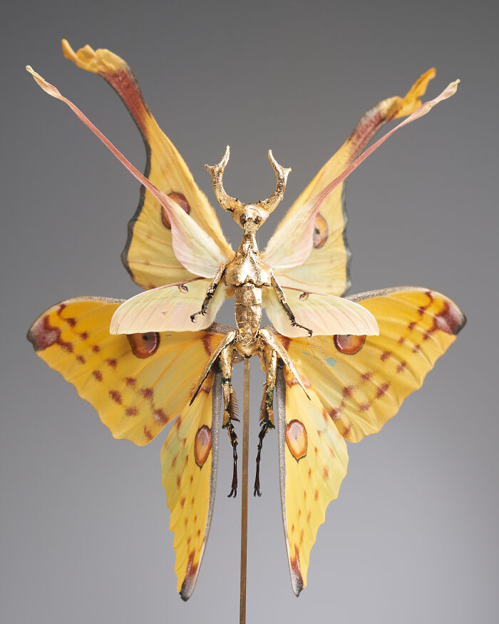 Amsterdam-Based Artist Creates Surreal Sculptures Inspired By Fairies, Flowers, Skeletons, And Insects (33 Pics) Amsterdam-Based Artist Creates Surreal Sculptures Inspired By Fairies, Flowers, Skeletons, And Insects (33 Pics)