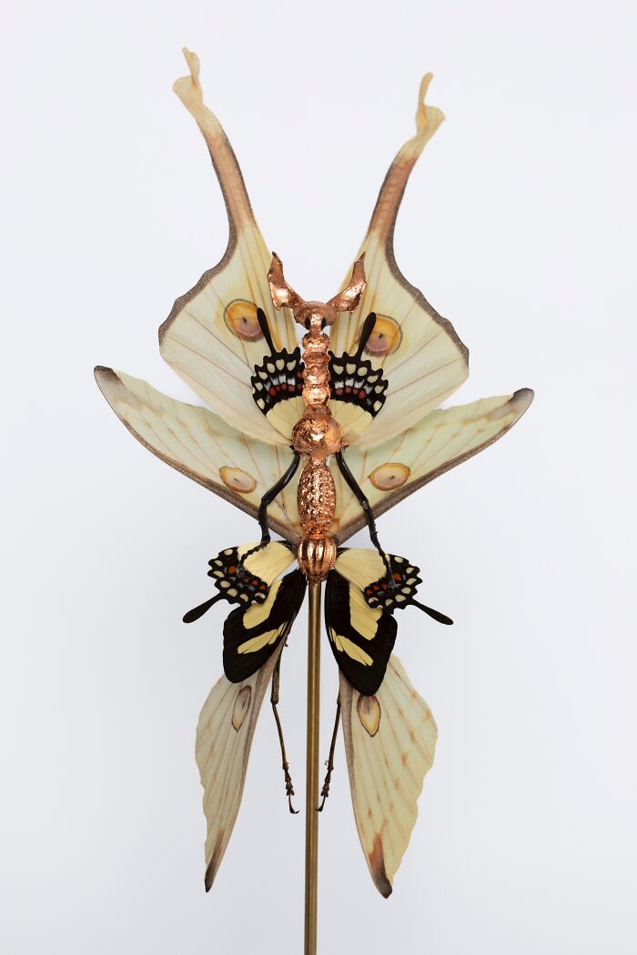 Amsterdam-Based Artist Creates Surreal Sculptures Inspired By Fairies, Flowers, Skeletons, And Insects (33 Pics) Amsterdam-Based Artist Creates Surreal Sculptures Inspired By Fairies, Flowers, Skeletons, And Insects (33 Pics)