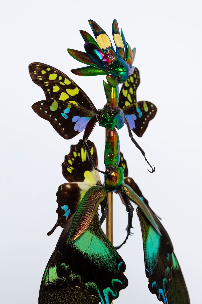 Amsterdam-Based Artist Creates Surreal Sculptures Inspired By Fairies, Flowers, Skeletons, And Insects (33 Pics) Amsterdam-Based Artist Creates Surreal Sculptures Inspired By Fairies, Flowers, Skeletons, And Insects (33 Pics)