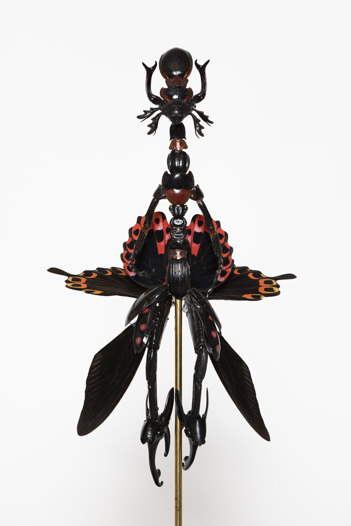 Amsterdam-Based Artist Creates Surreal Sculptures Inspired By Fairies, Flowers, Skeletons, And Insects (33 Pics) Amsterdam-Based Artist Creates Surreal Sculptures Inspired By Fairies, Flowers, Skeletons, And Insects (33 Pics)