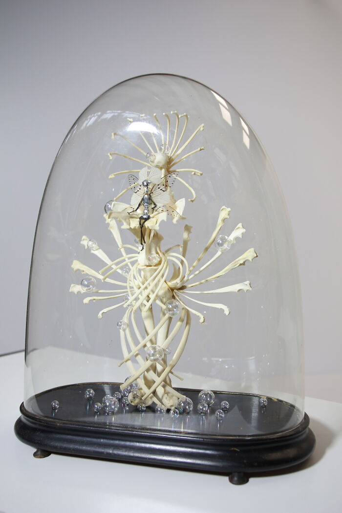 Amsterdam-Based Artist Creates Surreal Sculptures Inspired By Fairies, Flowers, Skeletons, And Insects (33 Pics) Amsterdam-Based Artist Creates Surreal Sculptures Inspired By Fairies, Flowers, Skeletons, And Insects (33 Pics)