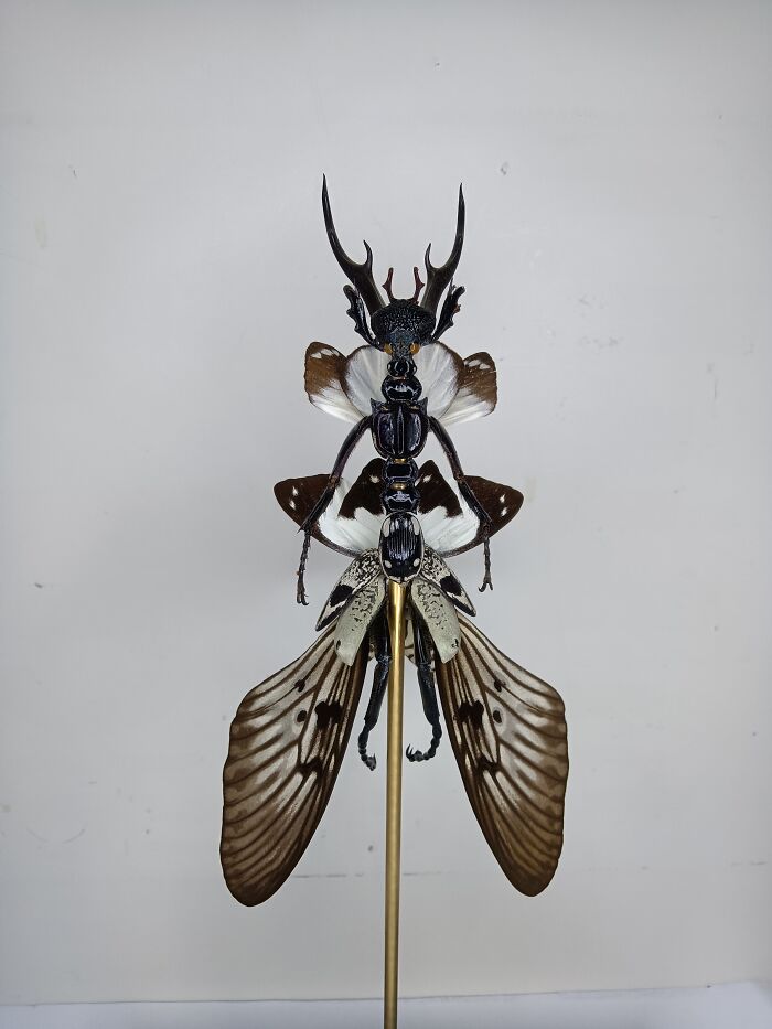 Amsterdam-Based Artist Creates Surreal Sculptures Inspired By Fairies, Flowers, Skeletons, And Insects (33 Pics) Amsterdam-Based Artist Creates Surreal Sculptures Inspired By Fairies, Flowers, Skeletons, And Insects (33 Pics)
