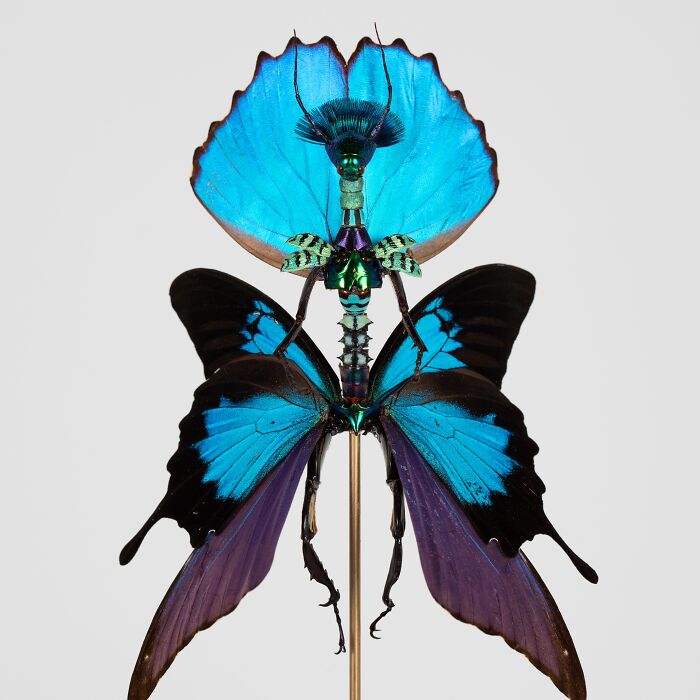 Amsterdam-Based Artist Creates Surreal Sculptures Inspired By Fairies, Flowers, Skeletons, And Insects (33 Pics) Amsterdam-Based Artist Creates Surreal Sculptures Inspired By Fairies, Flowers, Skeletons, And Insects (33 Pics)